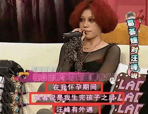 前妻爆料汪峰出轨视频大全,前妻揭露惊人真相