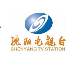 沈阳新闻频道在线观看