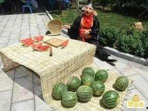 搞笑娱乐吃瓜图片大全,笑料横生!搞笑娱乐吃瓜图片大盘点