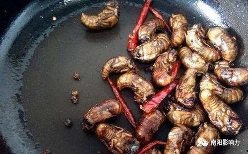 娱乐吃瓜酱知了