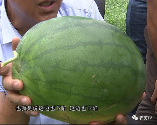 吃瓜专家,吃瓜专家带你领略明星幕后故事