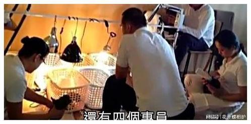 吃瓜娱乐追星是真的吗,吃瓜娱乐追星现象背后的真实面貌