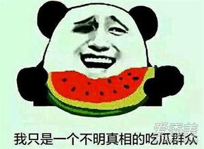 吃瓜群众是比喻吗